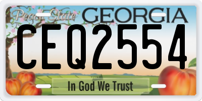 GA license plate CEQ2554