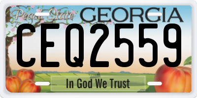 GA license plate CEQ2559
