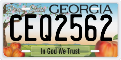 GA license plate CEQ2562