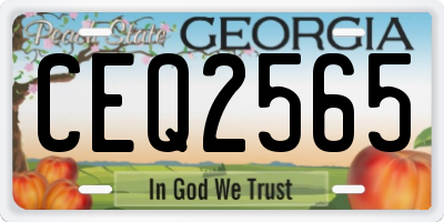 GA license plate CEQ2565