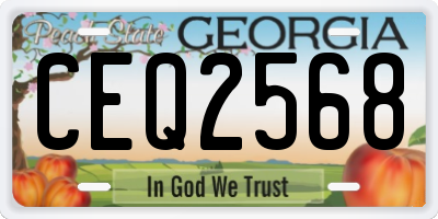 GA license plate CEQ2568