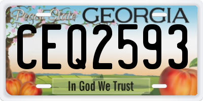 GA license plate CEQ2593