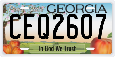 GA license plate CEQ2607