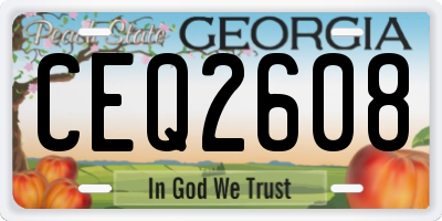 GA license plate CEQ2608