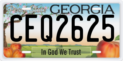 GA license plate CEQ2625