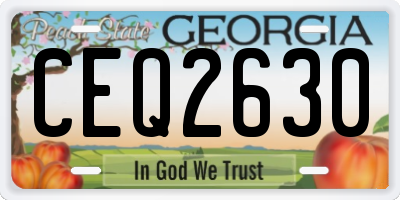 GA license plate CEQ2630