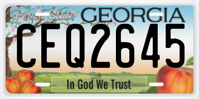 GA license plate CEQ2645