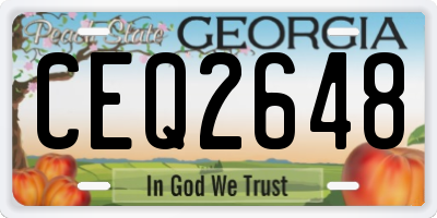 GA license plate CEQ2648