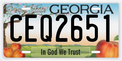 GA license plate CEQ2651