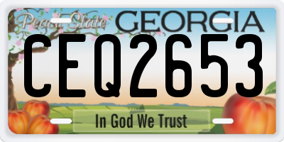 GA license plate CEQ2653