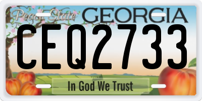 GA license plate CEQ2733