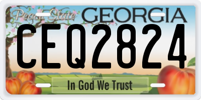 GA license plate CEQ2824