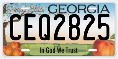 GA license plate CEQ2825