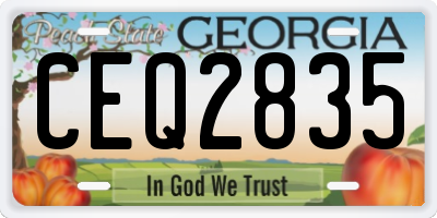 GA license plate CEQ2835