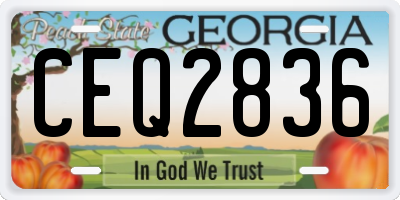 GA license plate CEQ2836
