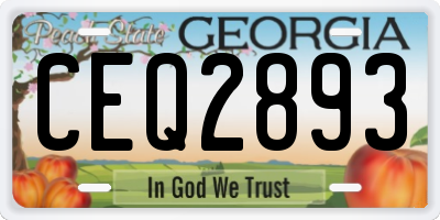 GA license plate CEQ2893