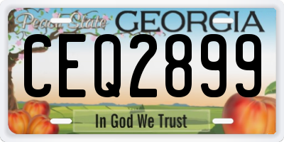 GA license plate CEQ2899