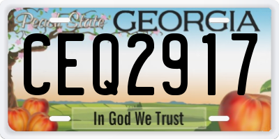 GA license plate CEQ2917