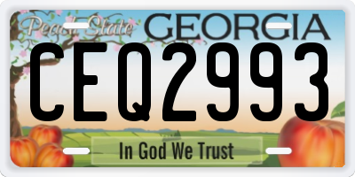 GA license plate CEQ2993