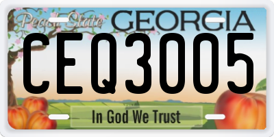 GA license plate CEQ3005