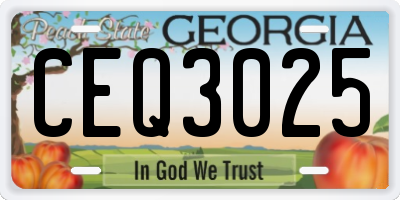GA license plate CEQ3025