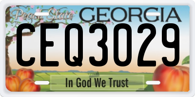 GA license plate CEQ3029