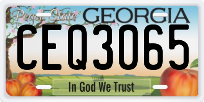 GA license plate CEQ3065