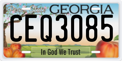 GA license plate CEQ3085