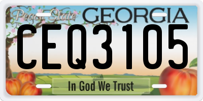 GA license plate CEQ3105
