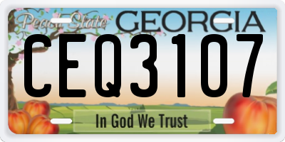 GA license plate CEQ3107