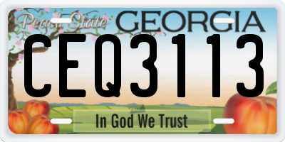 GA license plate CEQ3113