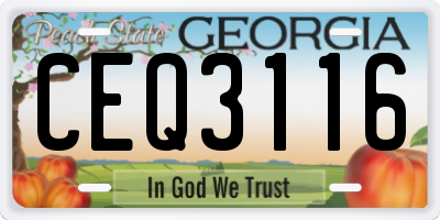 GA license plate CEQ3116