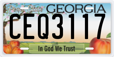 GA license plate CEQ3117