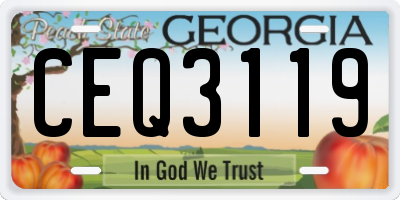 GA license plate CEQ3119