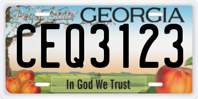 GA license plate CEQ3123