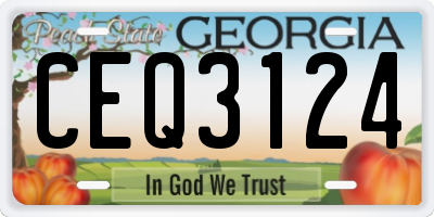 GA license plate CEQ3124