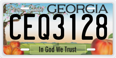 GA license plate CEQ3128