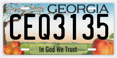 GA license plate CEQ3135