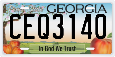 GA license plate CEQ3140