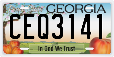 GA license plate CEQ3141