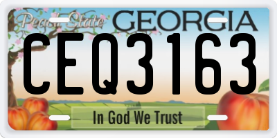 GA license plate CEQ3163