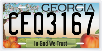 GA license plate CEQ3167