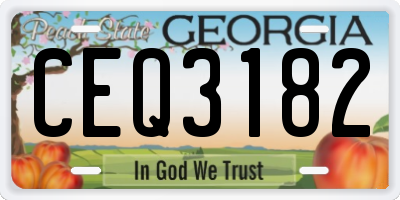 GA license plate CEQ3182