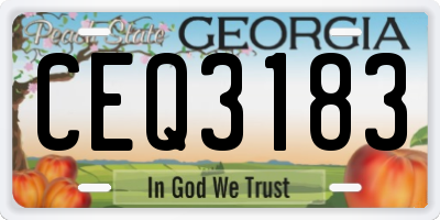 GA license plate CEQ3183