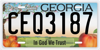 GA license plate CEQ3187