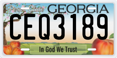 GA license plate CEQ3189
