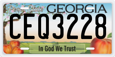 GA license plate CEQ3228