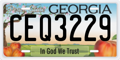 GA license plate CEQ3229