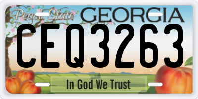GA license plate CEQ3263