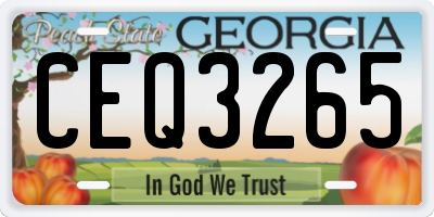 GA license plate CEQ3265